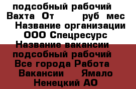 подсобный рабочий . Вахта. От 30 000 руб./мес. › Название организации ­ ООО Спецресурс › Название вакансии ­ подсобный рабочий - Все города Работа » Вакансии   . Ямало-Ненецкий АО